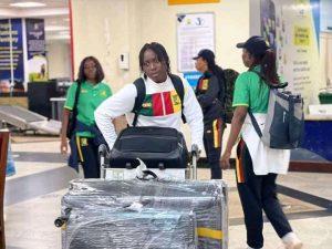 L'arrivée des lionnes en Ouganda (c) Droits réservés 